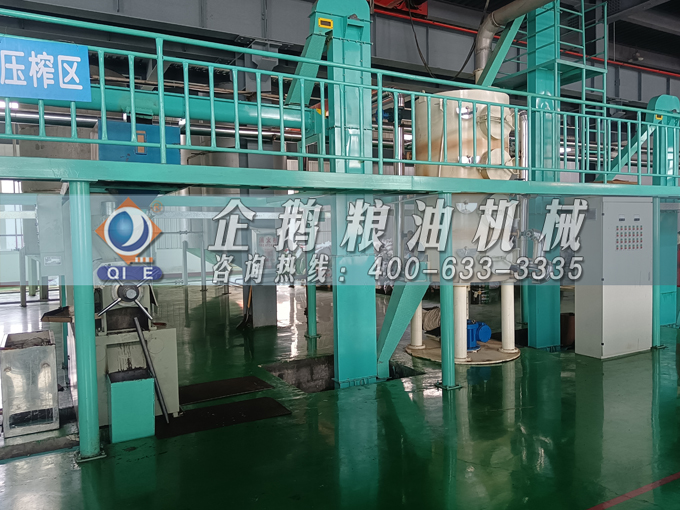 企鵝牌茶籽油雙螺桿榨油機(jī)，用心制造獲得客戶認(rèn)可(圖3)