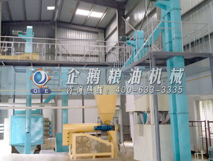 如何投資建設(shè)棕櫚油加工廠？企鵝糧油機(jī)械在線為您答疑解惑(圖4)