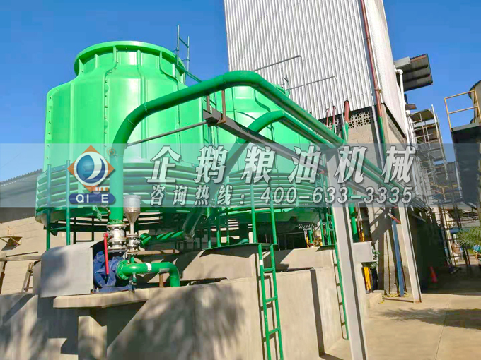 如何投資建設(shè)棕櫚油加工廠？企鵝糧油機(jī)械在線為您答疑解惑(圖3)